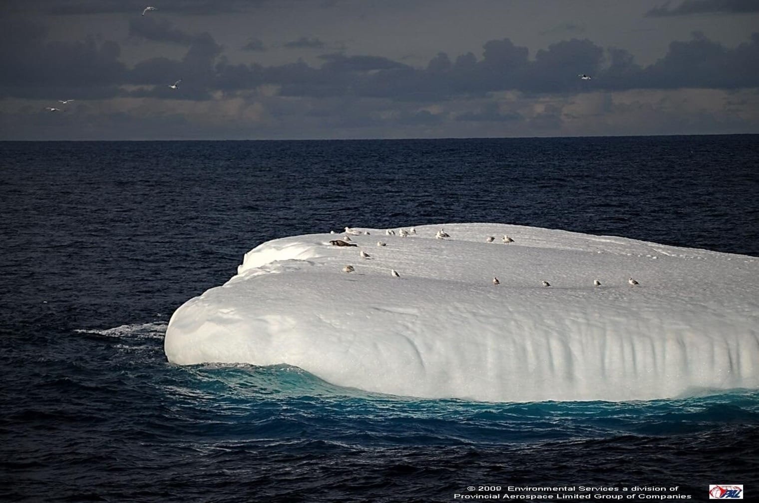 Photograph of Iceberg by the Environment Service Team at PAL Aerospace