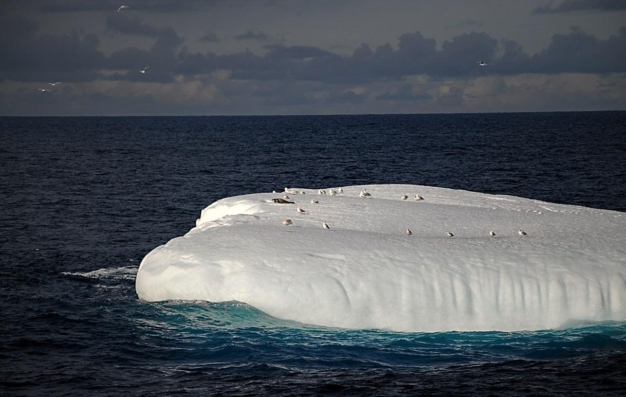photograph of iceberg